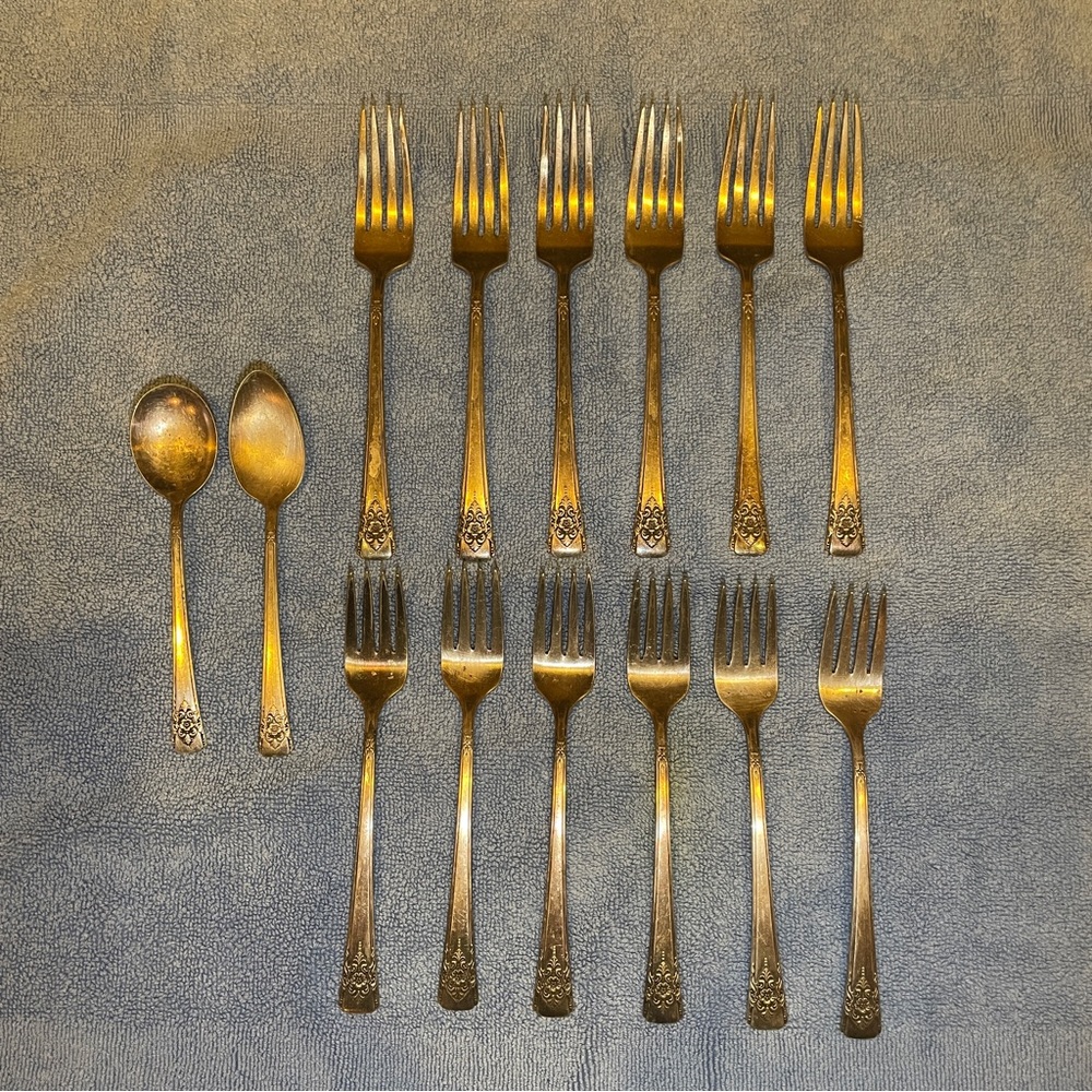 Wm Rogers Mountain Rose Silverplate, 1954 , 14 pieces